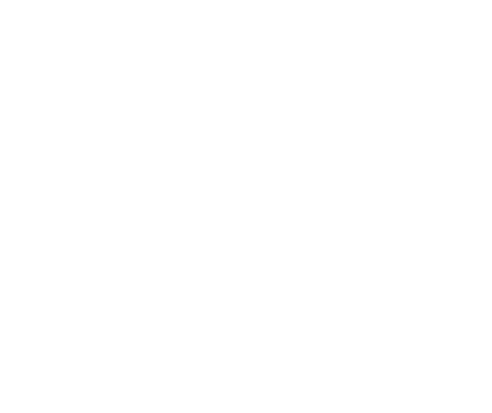 dell (1)