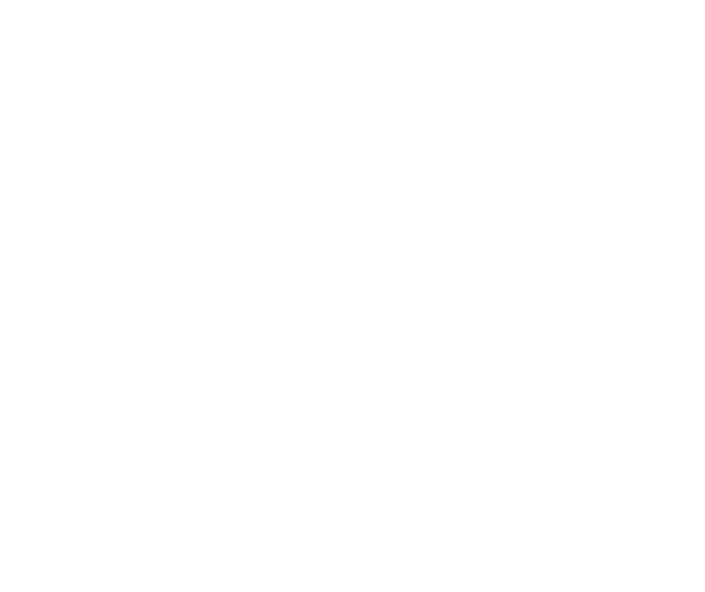 hp (1)